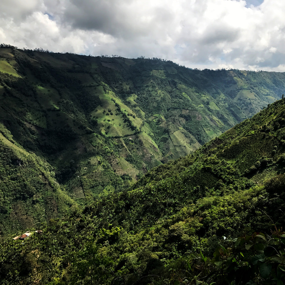 Colombia - San Sebastián