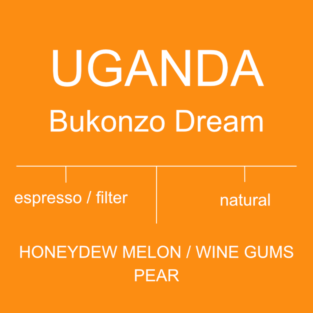 Uganda - Bukonzo Dream