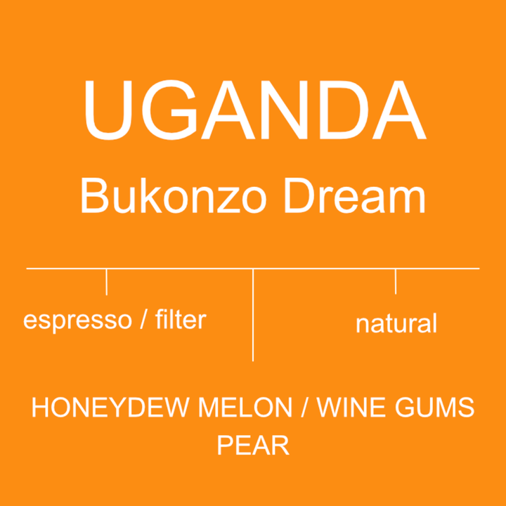 Uganda - Bukonzo Dream