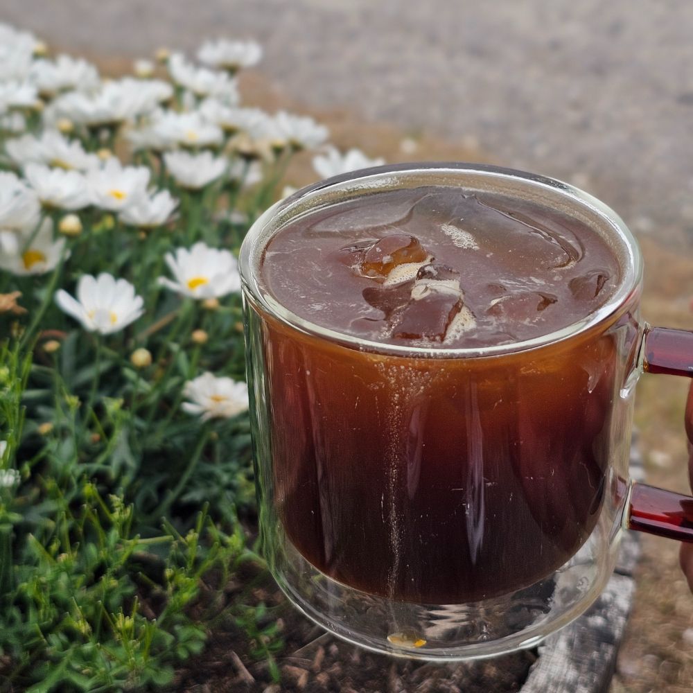 Summer Brews Q&A: How to Make the Perfect Specialty Iced Americano