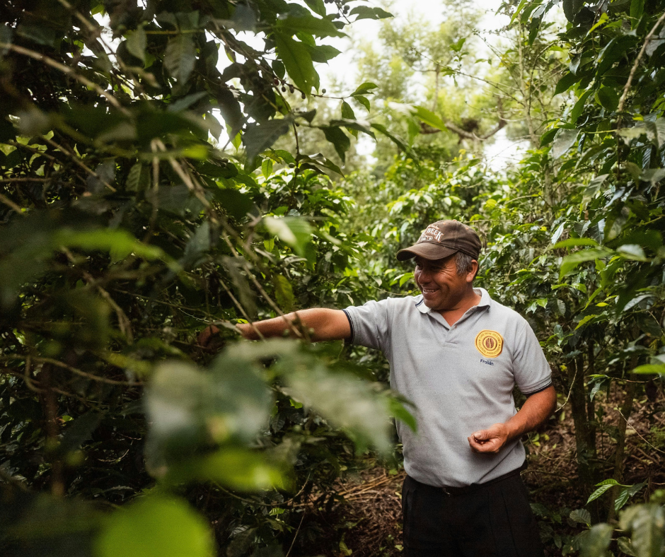 Understanding Organic Coffee: What It Means and Whether It's the Best Choice for You