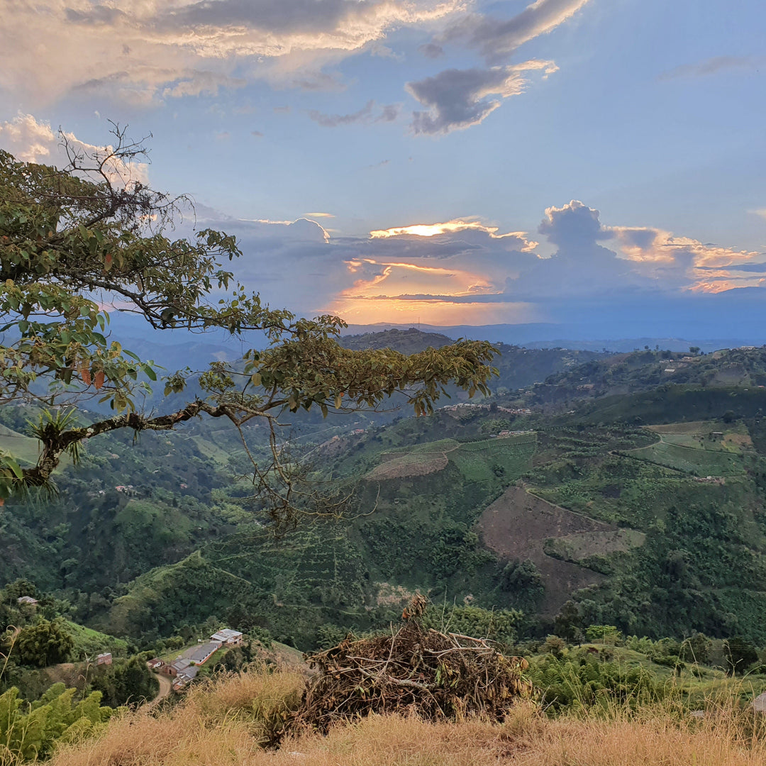 Colombia - El Refugio