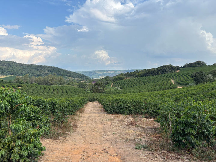 Brazil - Santo Antonio