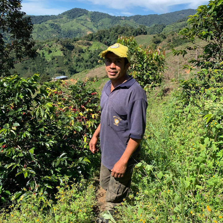 Colombia - El Indio