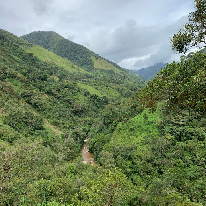 Colombia - El Indio