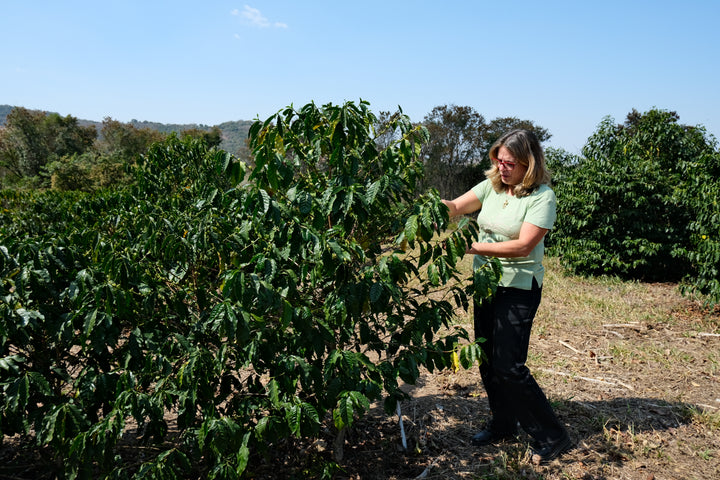 Brazil - Santo Antonio