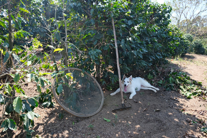 Brazil - Santo Antonio