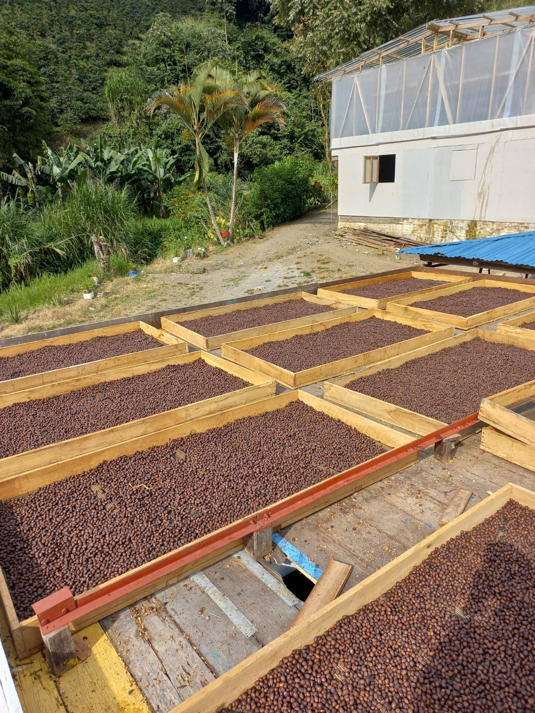 Decaf - Colombia Finca La Estrella (GROUND ESPRESSO) - 30% OFF