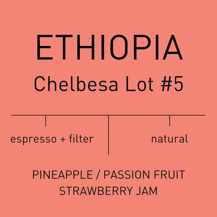 Ethiopia - Chelbesa Lot #5