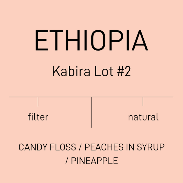 Ethiopia - Kabira Lot #2