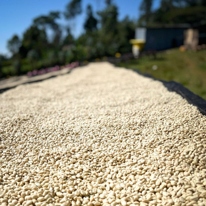 Ethiopia - Bochesa