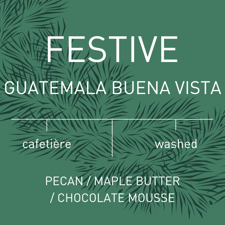 Festive Coffee: Guatemala Buena Vista