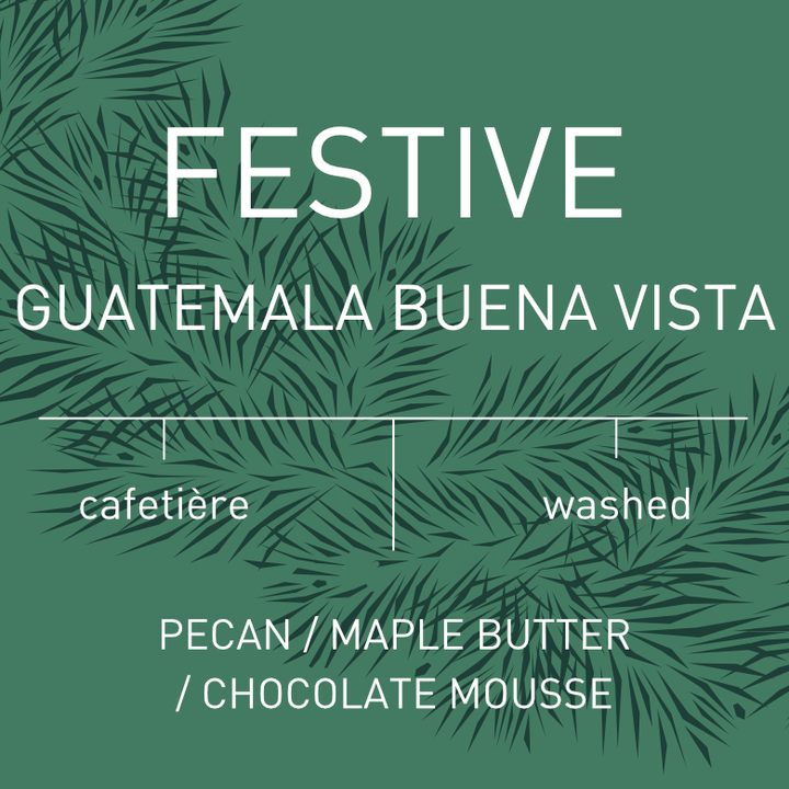 Festive Coffee: Guatemala Buena Vista