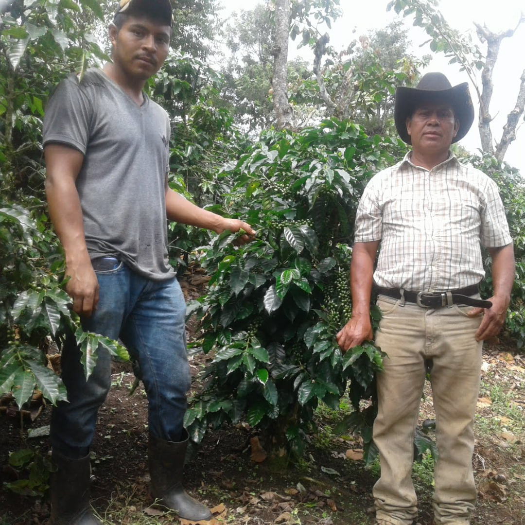 Festive: Guatemala - Buena Vista