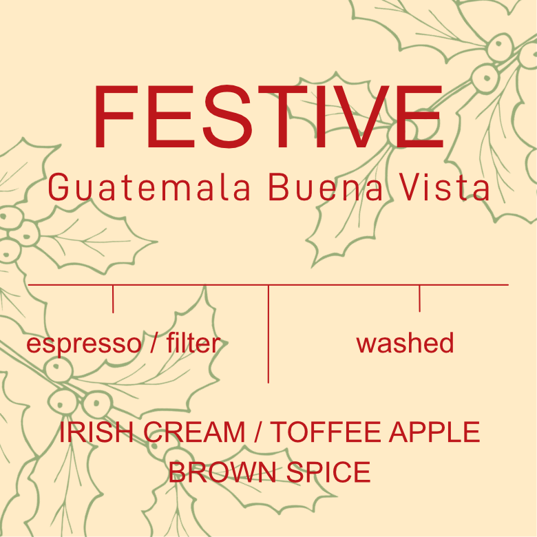 Festive: Guatemala - Buena Vista