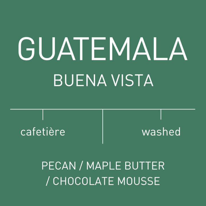 Guatemala Buena Vista