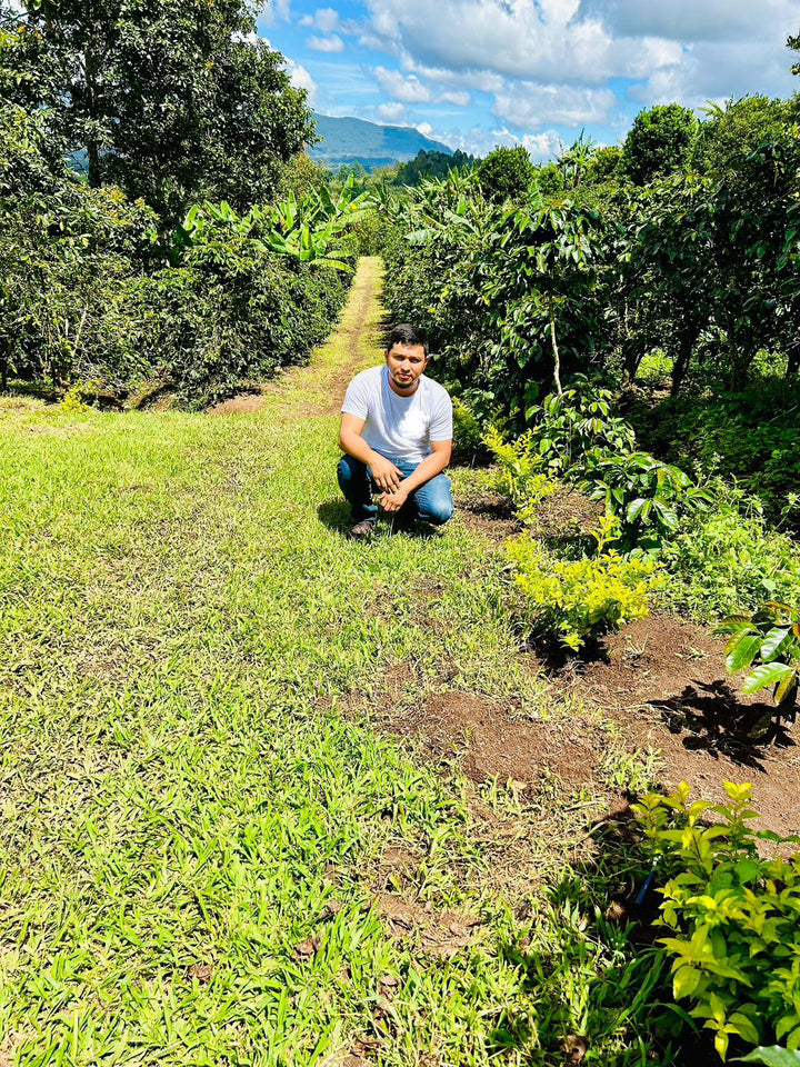 Honduras - El Matazano