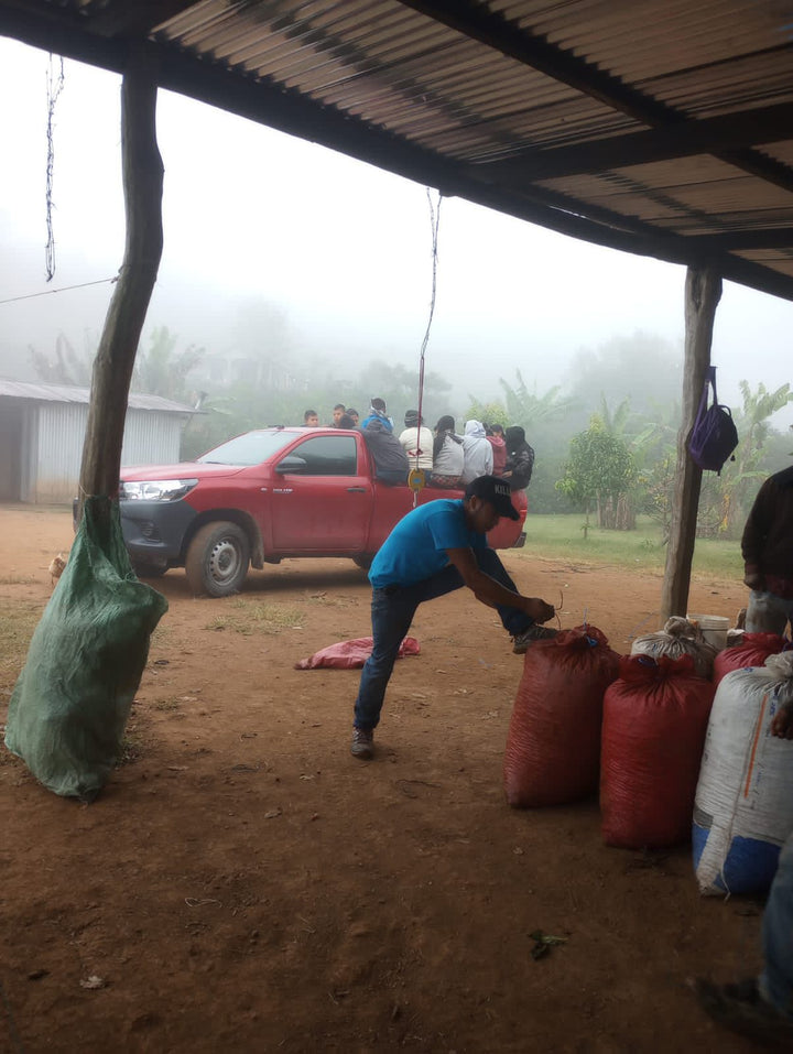 Honduras - El Matazano