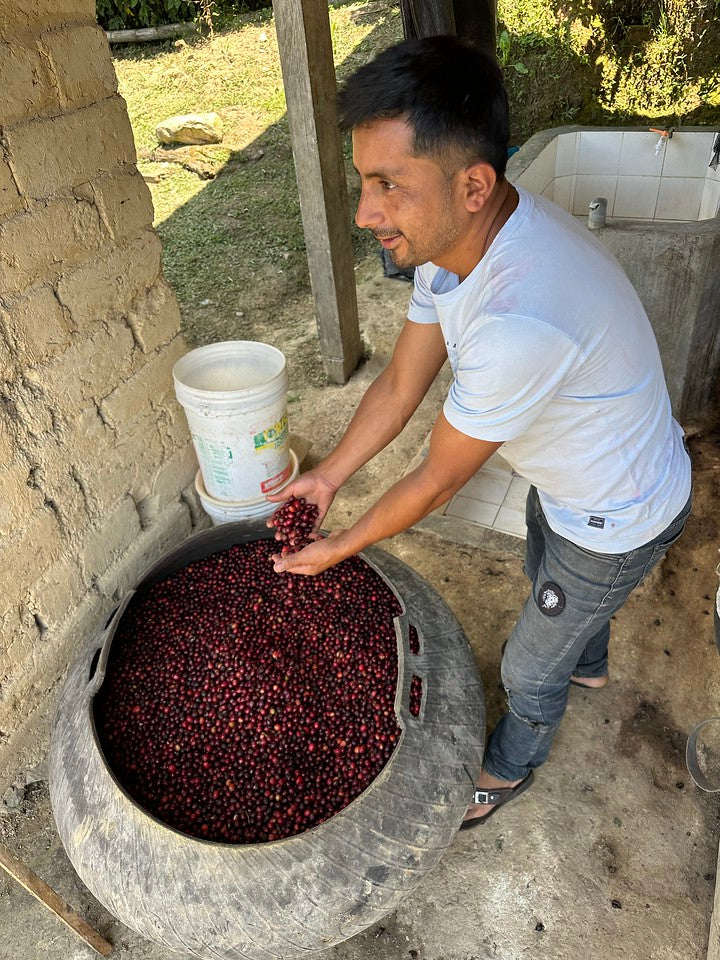 Peru - Neyra Chininin