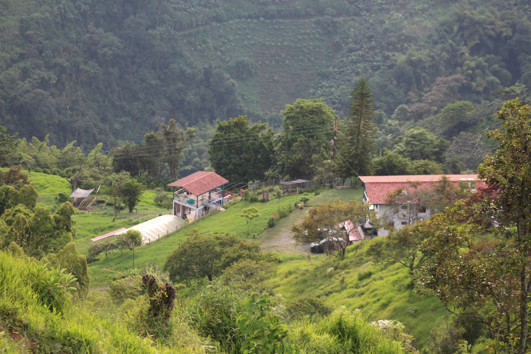 Colombia - El Refugio