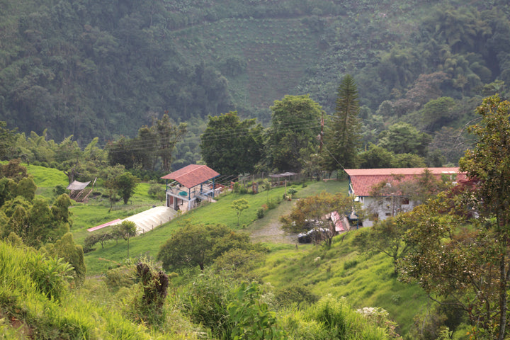 Colombia - El Refugio