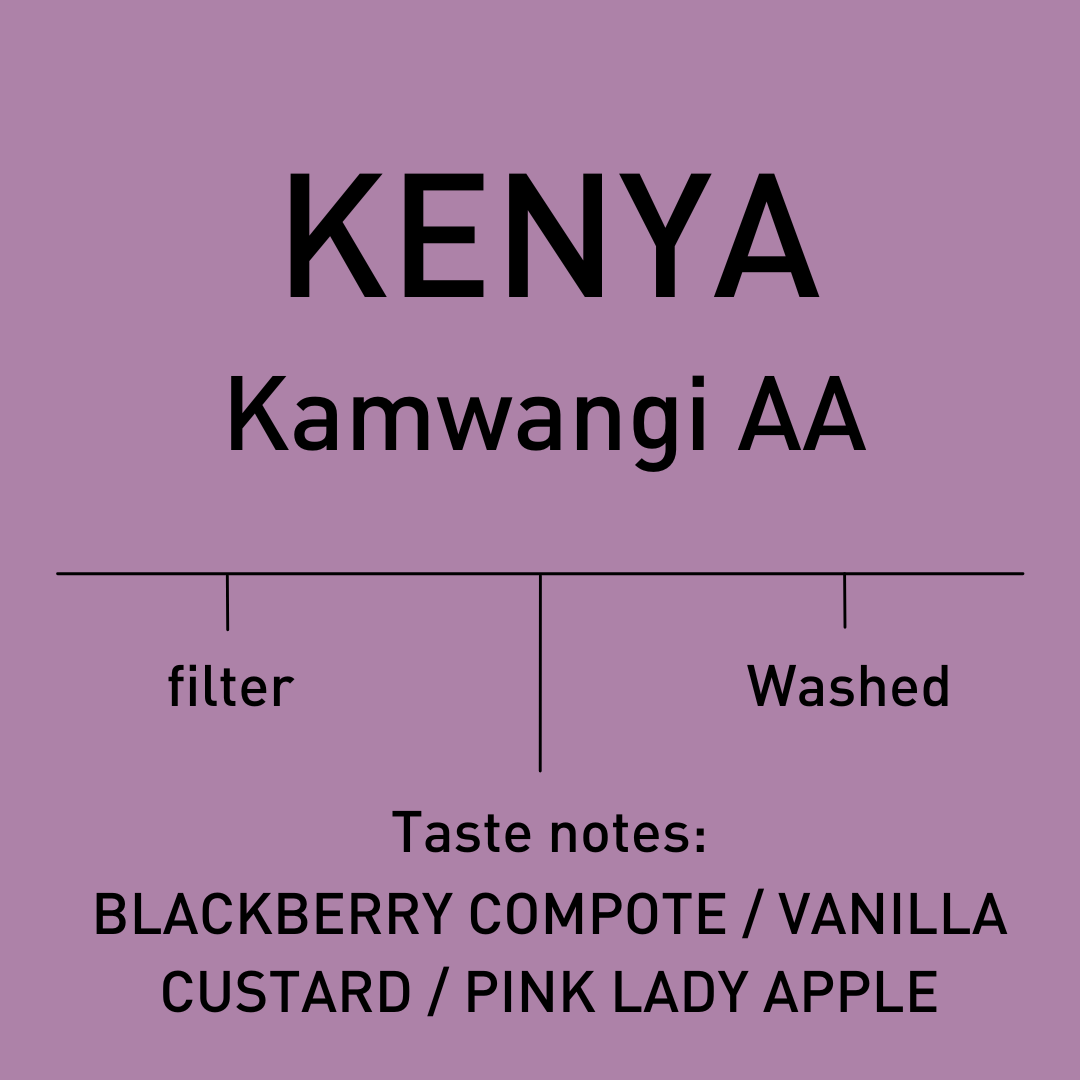 Kenya - Kamwangi AA