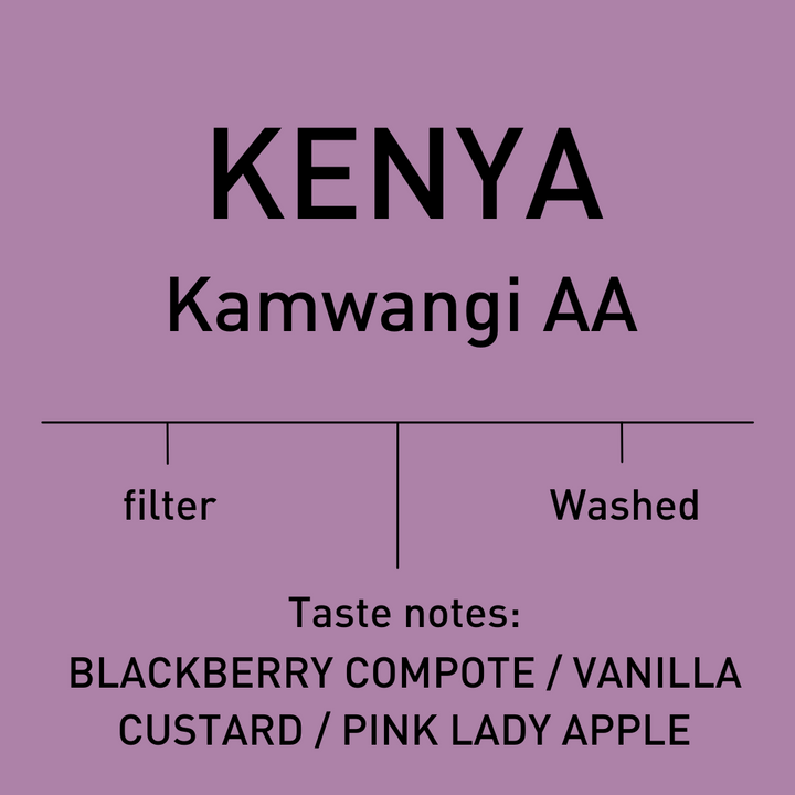 Kenya - Kamwangi AA