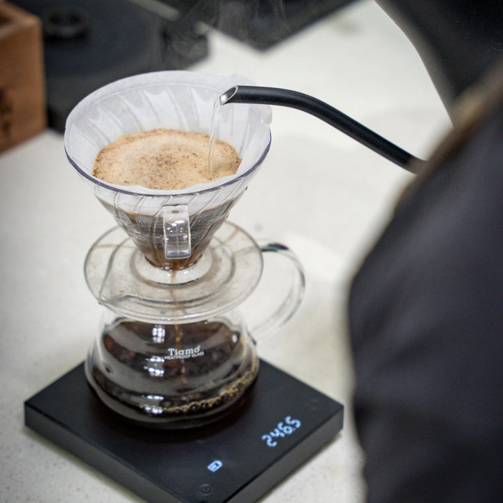 Pour Over/V60 Filter Starter Kit