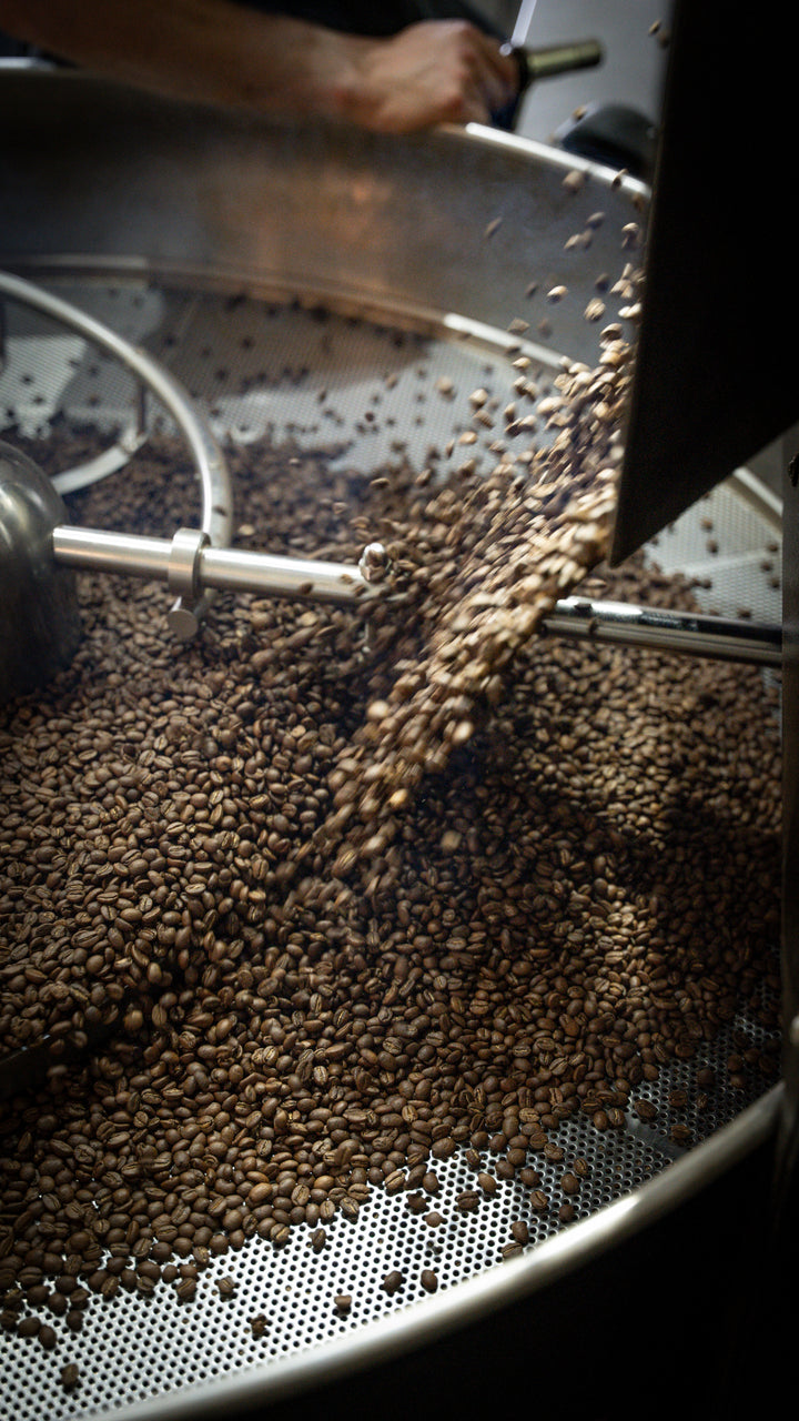 Coffee Roastery Tour