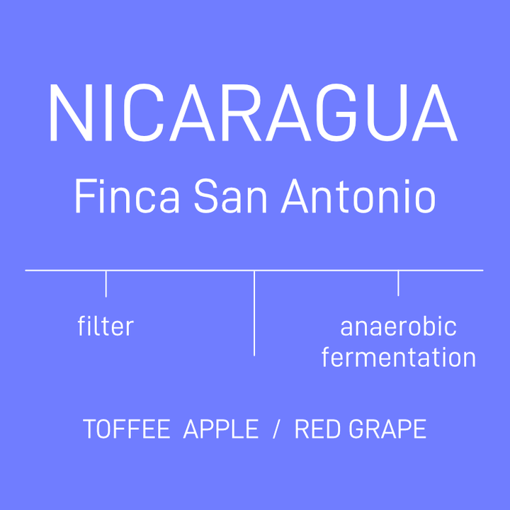 Nicaragua- Finca San Antonio