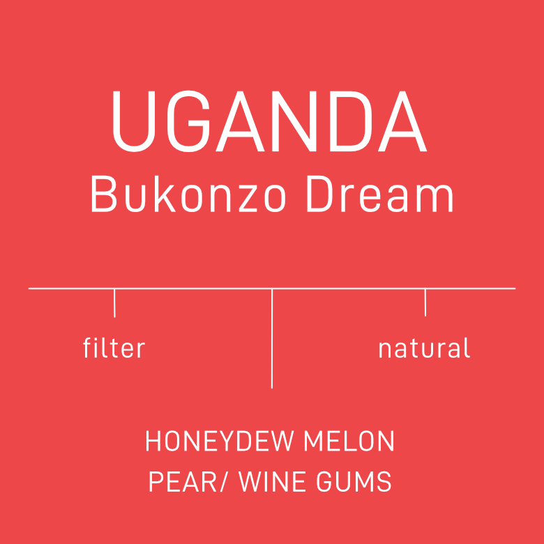 Uganda - Bukonzo Dream