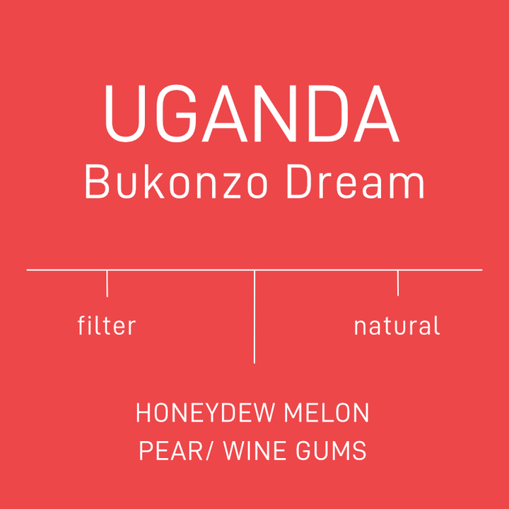 Uganda - Bukonzo Dream