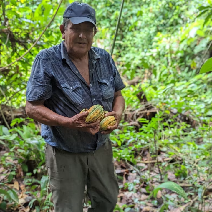 Bolivian 75% Wild Cacao Chocolate Bar