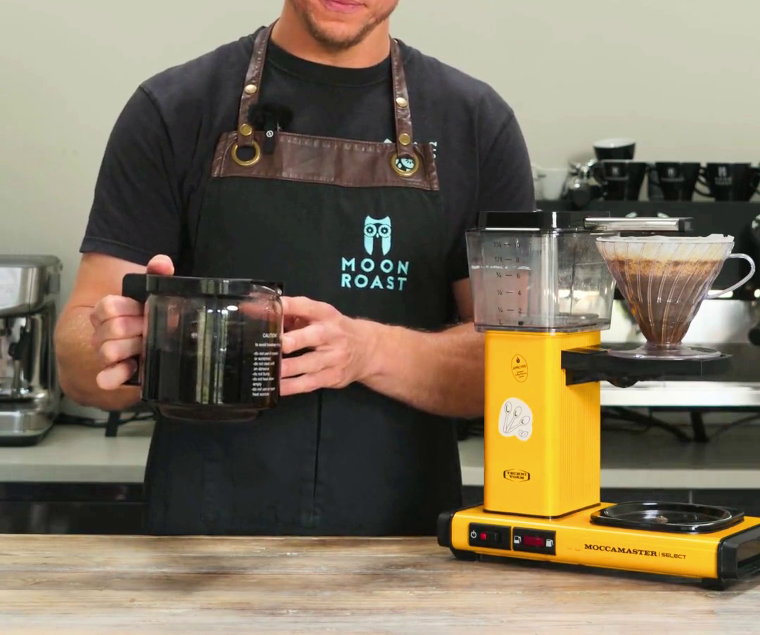 Discover our brewing guides